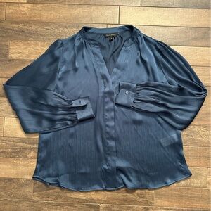 Banana Republic Deep Blue Blouse